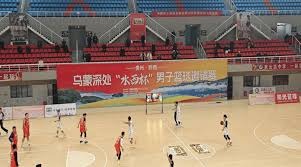 意甲裁判指派员罗基：取消弗拉霍维奇点球的决定是正确的